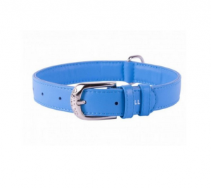 Collar Glamour kožený obojok Turquois