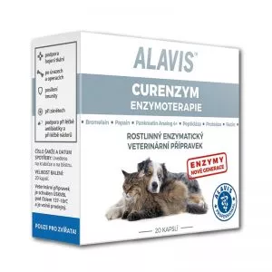 ALAVIS Enzymoterapia 80 tbl.