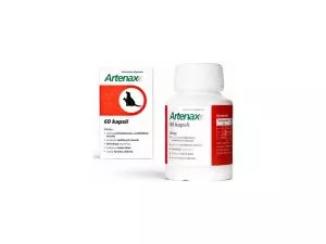 Folio Artenax 60 tbl