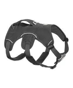 Postroj pre psy Ruffwear Web Master™ Harness