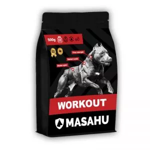 MASAHU Workout
