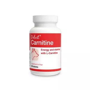 Dolvit Carnitine – 90 tbl.