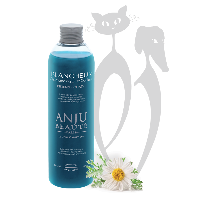 ANJU BEAUTÉ BLANCHEUR NA OŽIVENIE BIELEJ SRSTI