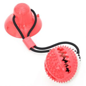 Reedog Pet Molar