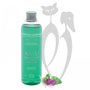 ANJU BEAUTÉ PURIFIANT CAMPHRE OŠETRUJÚCI