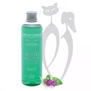 ANJU BEAUTÉ PURIFIANT CAMPHRE OŠETRUJÚCI