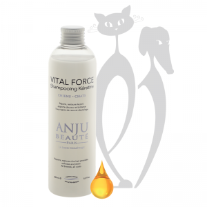 ANJU BEAUTÉ VITAL FORCE KERATINOVÝ ŠAMPÓN NA POŠKODENÚ SRSŤ