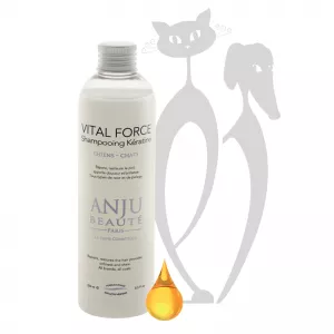 ANJU BEAUTÉ VITAL FORCE KERATINOVÝ ŠAMPÓN NA POŠKODENÚ SRSŤ