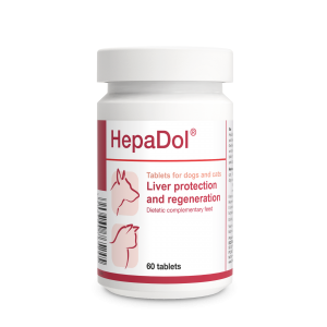 DOLFOS HepaDol 60 tbl.