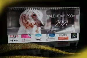 Stolový kalendár 2021  PSY