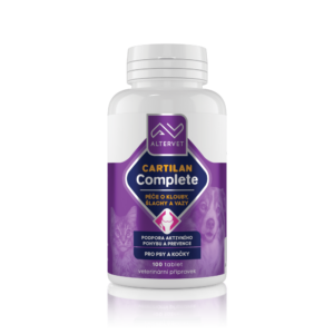 AV CARTILAN Complete 100tbl