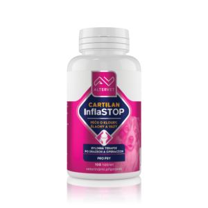 AV CARTILAN InflaSTOP 100tbl