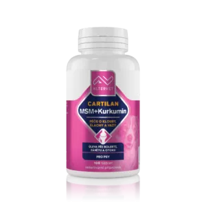 AV CARTILAN MSM+Kurkumin 100 tbl