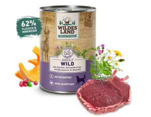 WILDES LAND - Divina