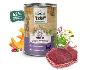 WILDES LAND – Divina