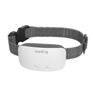Reedog No Bark Premium – protištekací obojok novej generácie