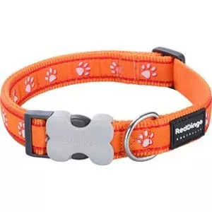 Obojok RED DINGO Desert Paws Orange