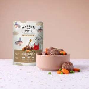 HARPER & BONE Dog Wild Mountain, kapsička 300 g