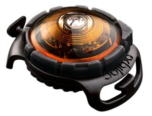 ORBILOC Dog Dual LED svetlo na obojok - oranžové