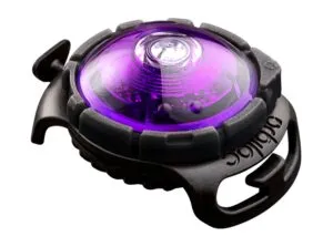 ORBILOC Dog Dual LED svetlo na obojok – fialové