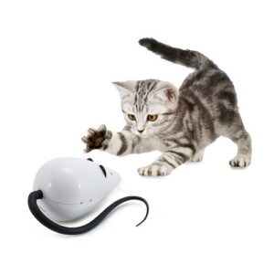 FroliCat® RoloRat Automatic Cat Teaser