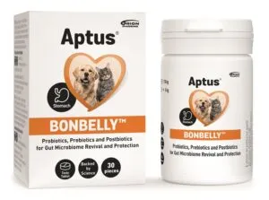 Aptus BONBELLY 30 tbl.