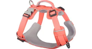 RED DINGO postroj Sport – Hi-Vis Peach