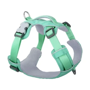 RED DINGO postroj Sport – Pastel Green