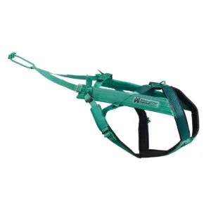 NON -STOP Postroj FREEMOTION HARNESS 5.0 – AQUA